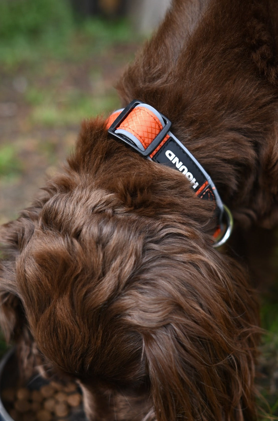 Everyday Adventure Collar