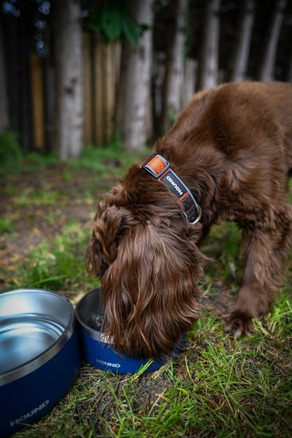 Stainless Steel Bowl