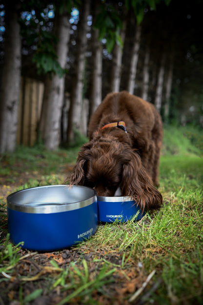 Stainless Steel Bowl