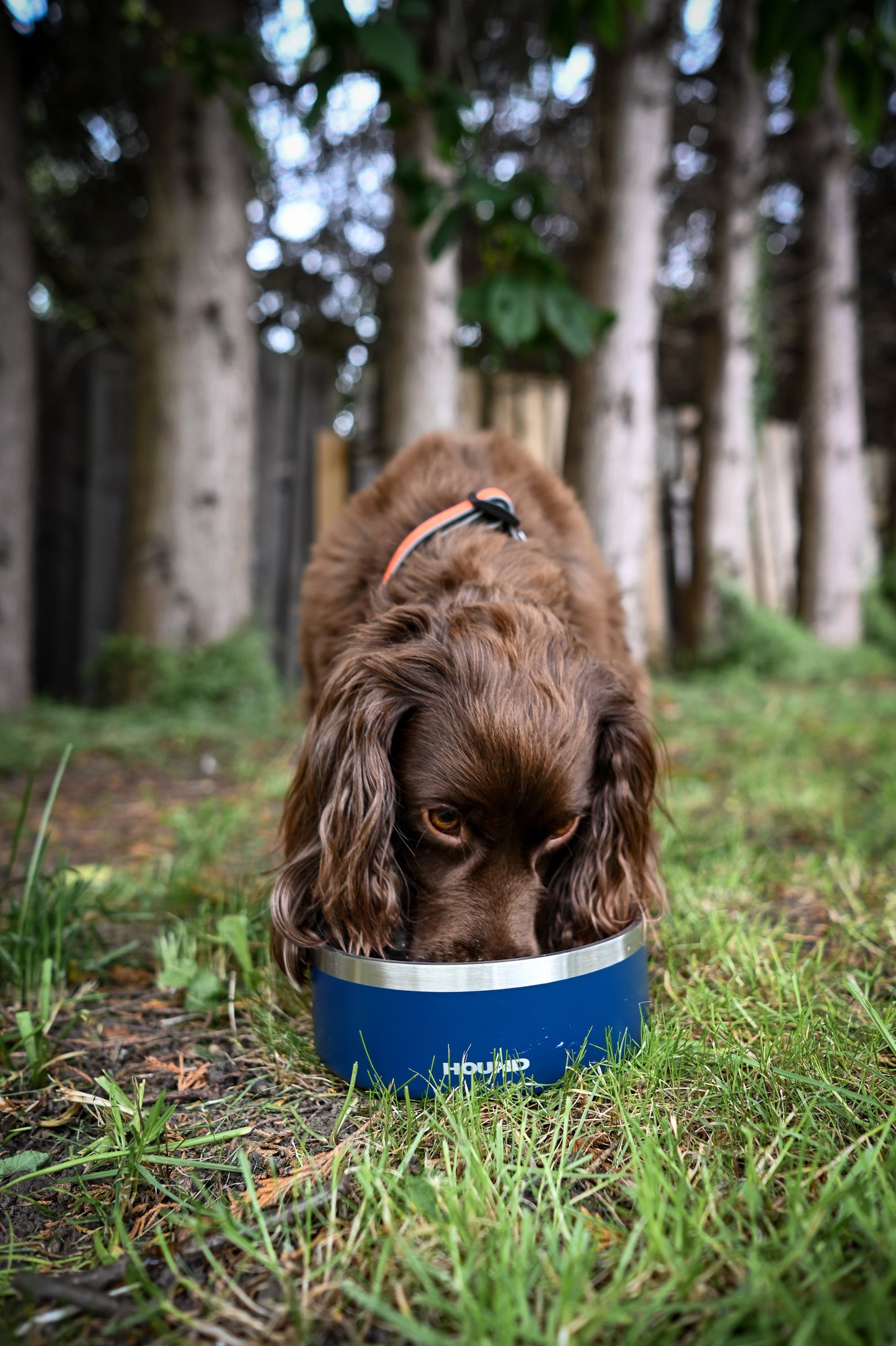 Stainless Steel Bowl