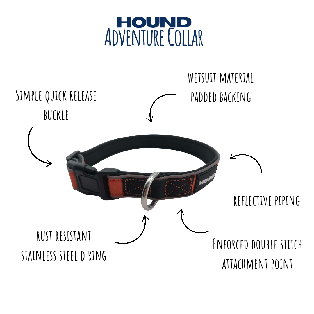 Everyday Adventure Collar